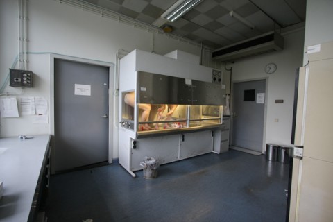 Kira O’Reilly and Jennifer Willet Untitled (Hamster Ovaries Protocol) series The Art and Genomics Centre, University of Leiden, The Netherlands 2008 Photo: Rune Peitersen